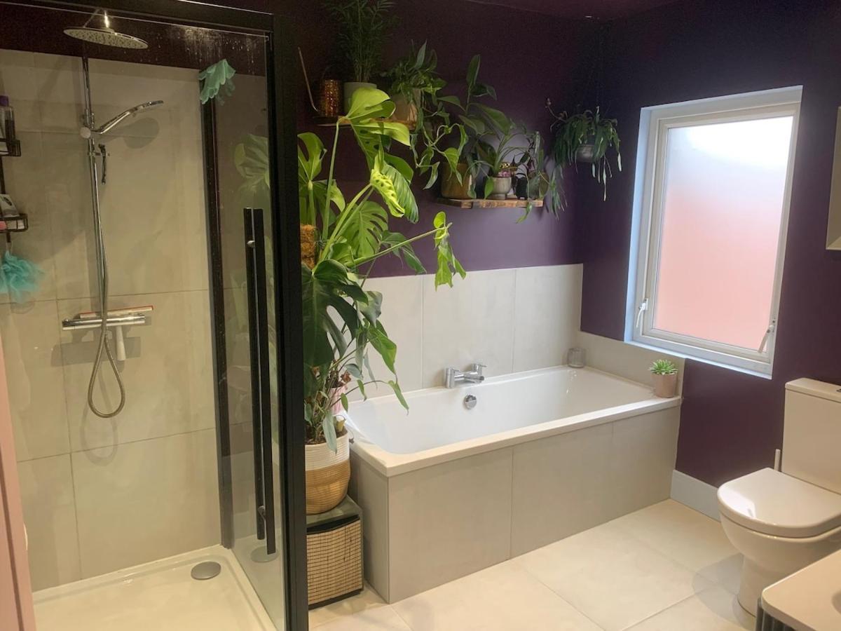 Apartment 3 Bedroom House- East Belfast